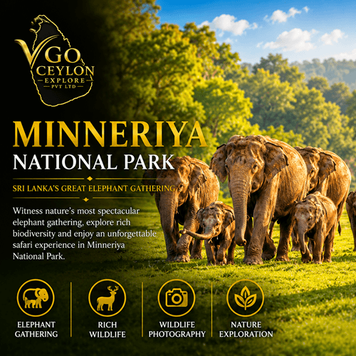 Minneriya National Park, Sri Lanka