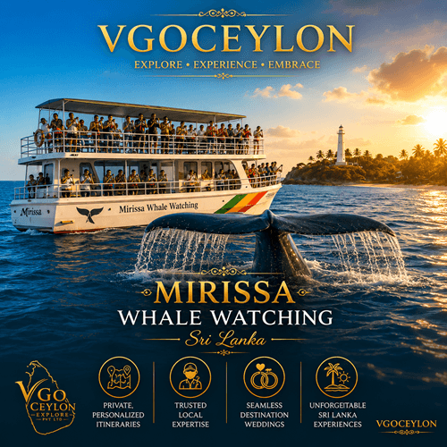 Mirissa Whale Watching, Sri Lanka