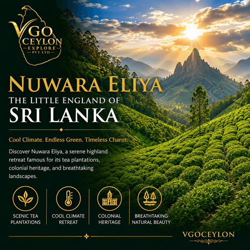 Nuwara Eliya, Sri Lanka
