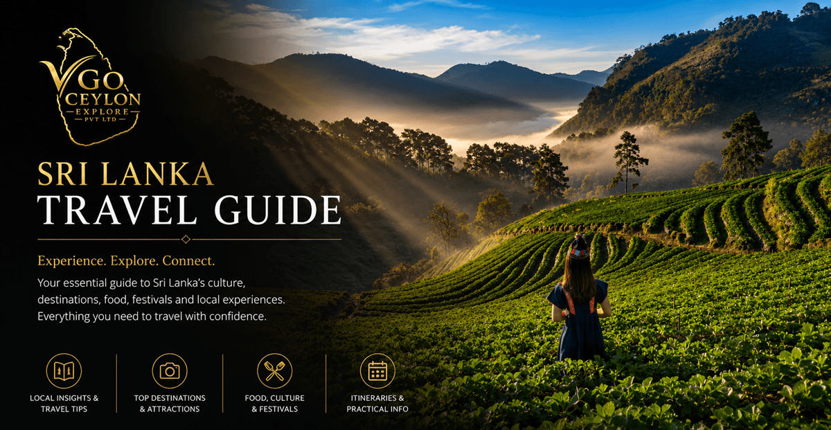 Tea country hills landscape in Sri Lanka